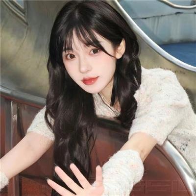 哈兰·科本的庇护所
